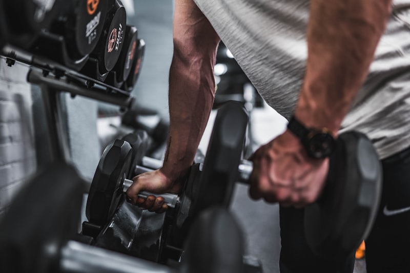 Pro Lifting Belt